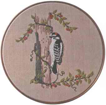 Downy Woodpecker