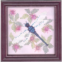 Dragonfly's View