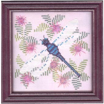 Dragonfly's View