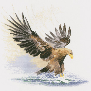 Eagle In Flight