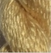 Edwardian Gold - Thirteen Silk 3228