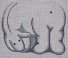 Eeyore