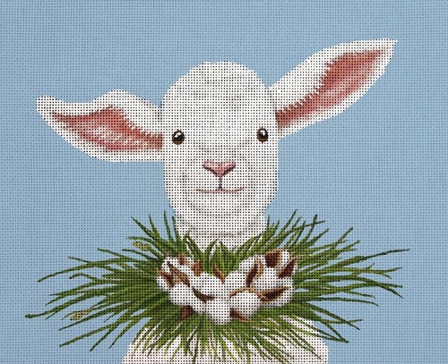 Elizabeth The Lamb