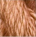 English Rose - Thirteen Silk 3016
