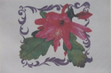 Epiphyllum #1
