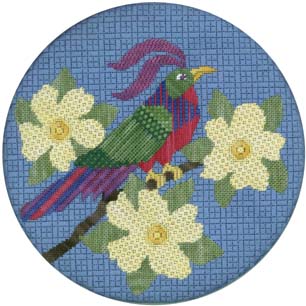 Exotic Bird 1