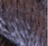 Falcon - Thirteen Silk 3242