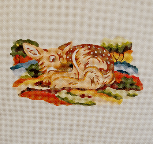Fawn