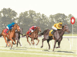 Finishing Post