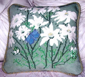 Flannel Flowers & Common Jezebel Butterfly
