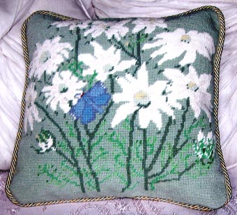 Flannel Flowers & Common Jezebel Butterfly