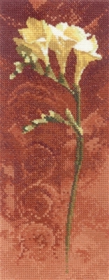 Freesia