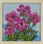 French Anemone