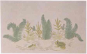 Frogs And Ferns