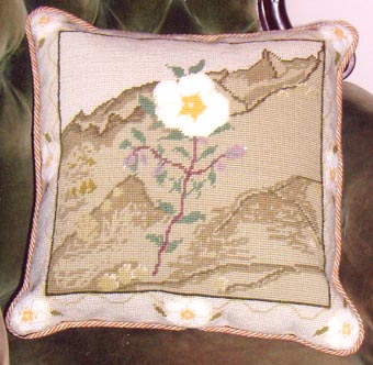 Gallipoli Rose