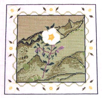 Gallipoli Rose