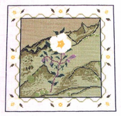 Gallipoli Rose
