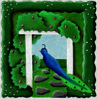 Garden Peacock (24m)