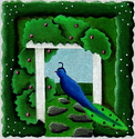 Garden Peacock (18m)