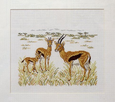 Gazelles