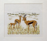 Gazelles