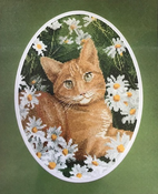 Ginger Cat