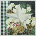 Gingham Bolls Star