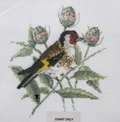 Goldfinch