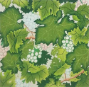 Grapes and Leaves