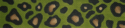 Green Leopard Bracelet