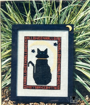 Halloween Kitty