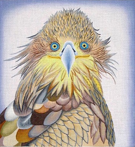 Hawk