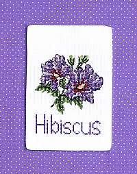 Hibiscus