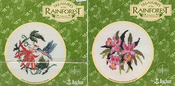 Humming Bird / Peruvian Orchid