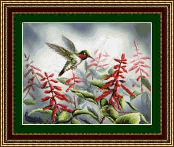 Hummingbird I