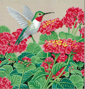 Hummingbird Splendor