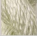 Iceberg - Thirteen Silk 3133