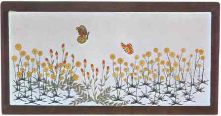 Indian Paintbrush & Daisies