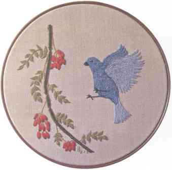 Indigo Bunting