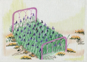 Iris Bed