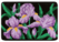 Iris w/ Black Purse