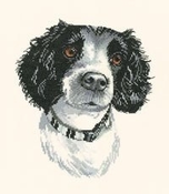 Jake