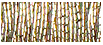 JapanThread #5 - 160J Rustic Gold