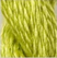 Jasmine - Thirteen Silk 3053