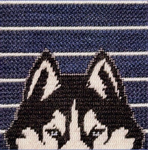 Jonathan Husky