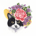 Katie Kitty