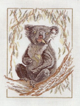 Koala Life