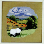 Lambs In Meadow