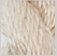Latte - Thirteen Silk 3185