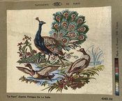Le Paon (Peacocks)